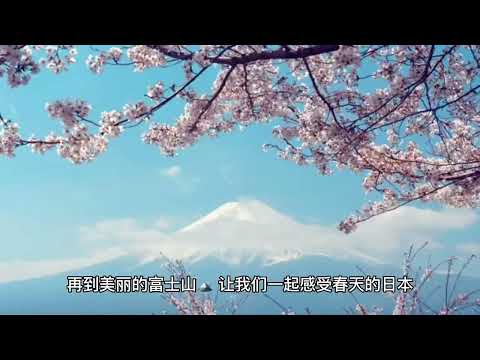 【AI】日本櫻花季🌸