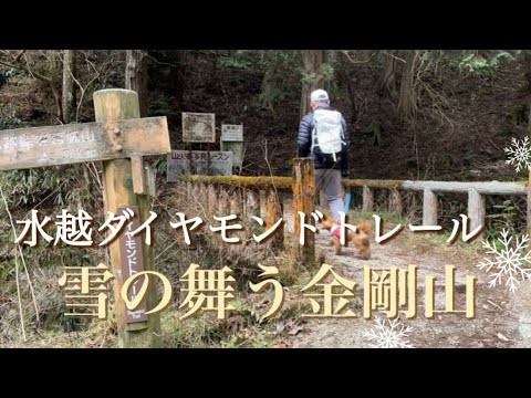 【犬連れ登山】水越峠からダイトレルートで金剛山山頂へ✨次第に雪が降り始めて‥😆🐶💕