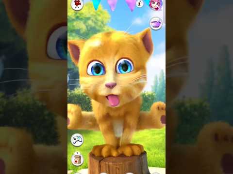 Talking Tom || Ginger 2  cat🐈😺😺😺#subscribe #slots #shorts #funny