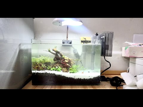 给我哥做了一个鱼缸|Made a fish tank for my brother