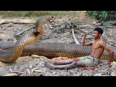 Primitive Technology: Build Underground Python Trap Using Bike Wheel With Chicks That Work 100%