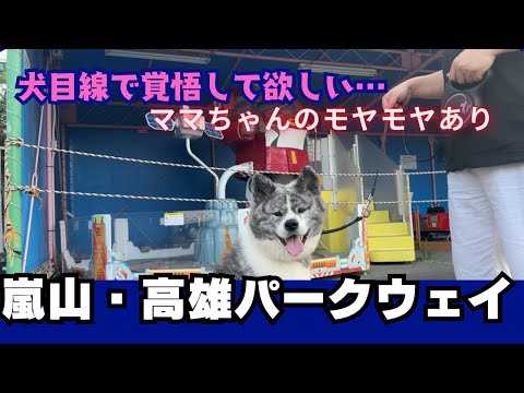 【秋田犬】お出かけドッグラン