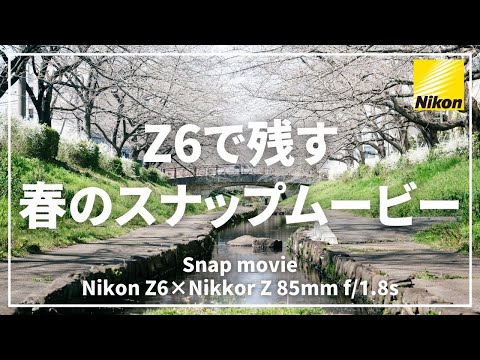 【Vlog】Z6で撮る春の訪れ【写真を撮るように動画撮影】