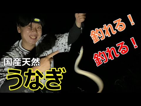 【福岡釣り】初心者でも簡単に釣れる♪おなじみの高級魚を釣りに行く！　#ウナギ釣り　#初心者　#福岡　【39釣目】