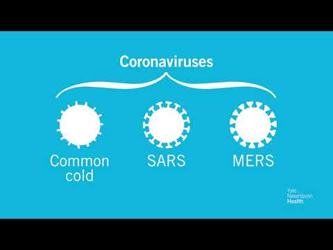 COVID-19 Update with YNHHS' Dr. Richard Martinello