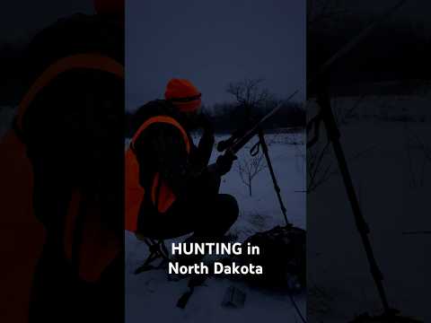 COLD & WINDY Morning For ELK Hunting! #asmr #hunting #elkhunting