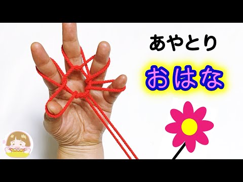 【あやとり】かわいい「花」の作り方【音声解説あり】String figures flower / ばぁばのあやとり