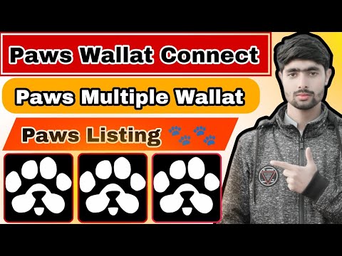 Paws Airdrop Update | Paws Multiple Account Connect Wallat | Paws Connect With Multiple Account |