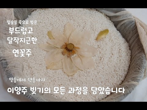 우리술빚기-3/두 번 빚은 이양주/향기로운 이양주 연화주 빚는 법/