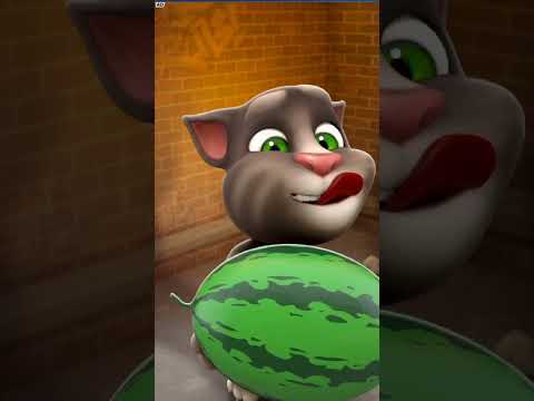 Cartoon Cat #newfunnyvideo #shortvideo