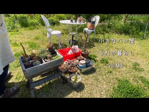 【暮らしvlog 98】裏庭で多肉植物の植え替え/たまに長良川鉄道