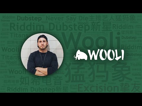 【EDC特輯】10首炸裂美式Briddim風格代錶DJ“猛獁象”Wooli必聽代錶作｜必聽DJ101｜全球DJ推薦