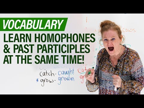 Learn English: 17 HOMOPHONES & Past Participles