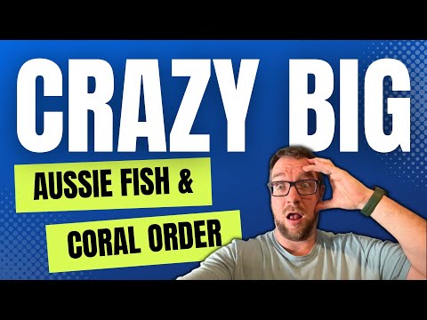 Incredible fish and coral!!!!