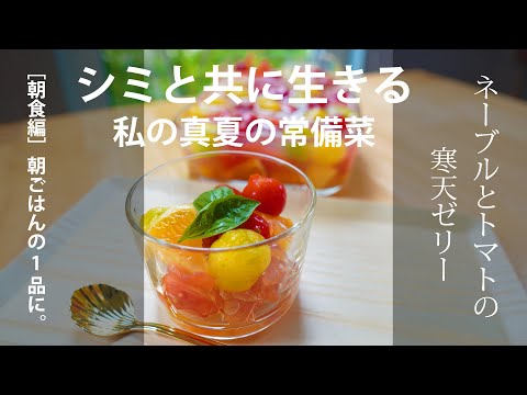 真夏の常備菜［朝食編］朝ごはんの1品にいかがですか？ネーブルとトマトの寒天ゼリー｜砂糖不使用｜ビタミンC｜食物繊維｜『シミと共に生きる私の悩み』