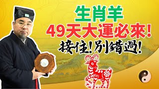 49天倒計時開始！生肖羊將迎來大運，財運已在路上，奇蹟將會發生！接住，別錯過！ #2025年生肖羊運勢 #2025年生肖羊運程 #2025年屬羊運勢 #2025年屬羊運程