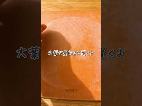 家族大絶賛‼️焼きライスペーパー☺️#2児ママ #shorts  #料理 #簡単料理  #簡単レシピ #2児ママ #OKUNOCHANNEL #オクノチャンネル