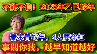 2025年乙巳蛇年，諺語“春木青蛇年，4人要穿紅”。是指那4人呢？高人預測，2025年不出意外，我們的生活會發生這六大改變. |踏雪寻梅 #生肖 #財運  #風水 #一禪語  #馬臉姐  #佛語禪心