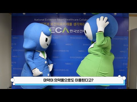 [NECA 서포터즈] 대마성분의약품의 올바른 사용