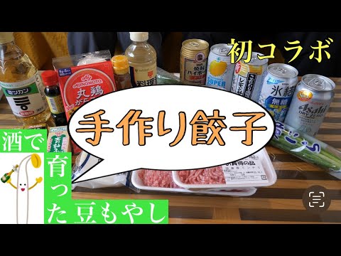 お酒好き美女と手作り餃子を作ります #料理コラボ