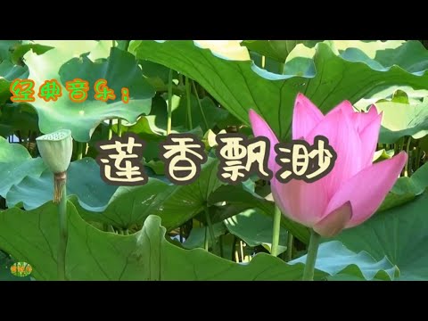 莲香飘渺 - 古风音韵。经典音乐