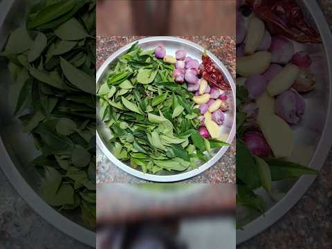 Karuveppilai Thuvaiyal #curryleaves #thogaiyal #chutney #nopuli #idly #sidedish #curryleaf #healthy