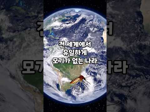 전 세계에서 유일하게 모기가 없는 나라