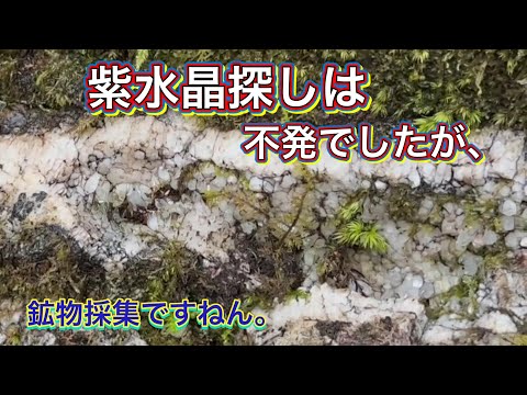 紫水晶探しが不発に終わった日　【鉱物採集】