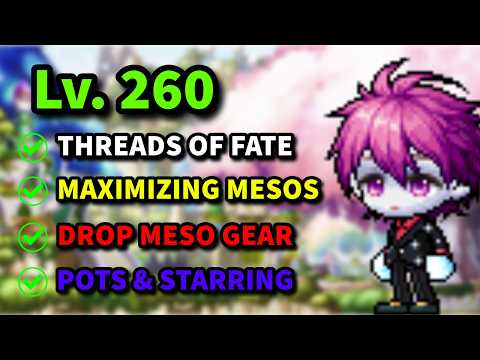 Top 10 Things To Do Before 260 In Maplestory