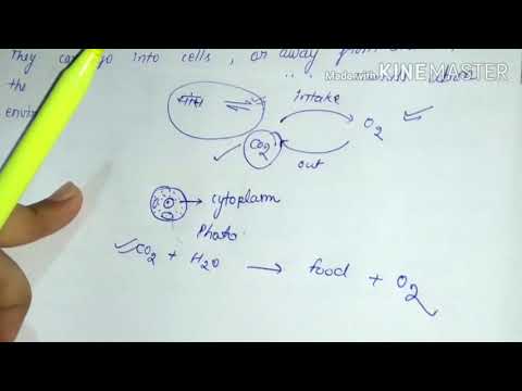 Life process: Respiration|part3| class 10th ncert| cbse board class 10th