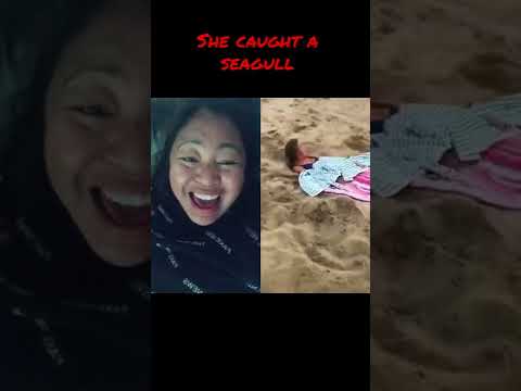 She caught a seagull I #beebeth #filbeautyinusa #bird #seagull #omg #funnyshort #viral  #viralshort