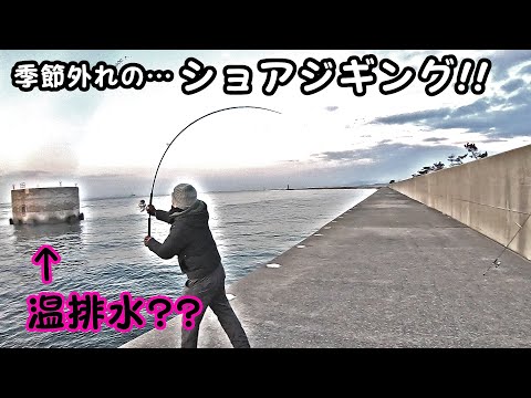 【中島埠頭】季節外れのショアジギング【姫路】