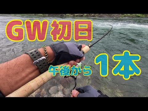 本流アメゴ(アマゴ)  GW初日の午後から行ってみた！