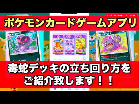 【Pokémon Trading Card Game Pocket（ポケポケ）】ポケモンカードゲーム【毒蛇デッキの立ち回り方】ご紹介致します！！