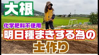 大根明日種まき土作り【無農薬】【化学肥料なし】【ボカシ】【前日】