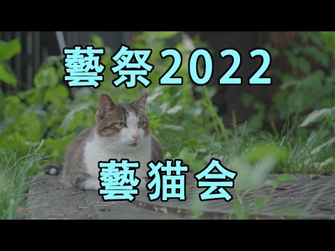 【藝祭2022】猫の世界へようこそ【東京藝術大学】【公式】