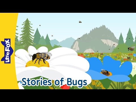 Bugs Adventure! Meet Honey Bees, Ants, Caterpillars & More! | Little Fox