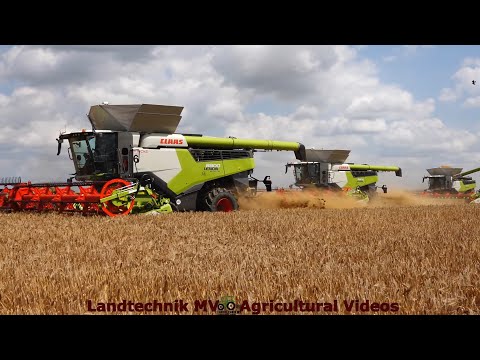 Claas - Fendt - MAN / Getreideernte - Grain Harvest  2024  pt1