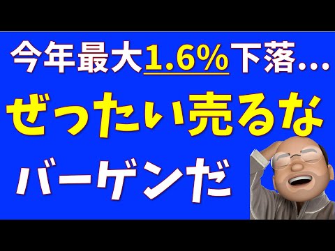 ぜったい売るな、バーゲンだ【S&P500, NASDAQ100】