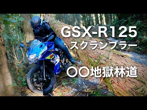 GSX-R125スクランブラー【紹介＋林道テスト】こんなはずじゃなかった     ○○地獄林道　山都町　御所林道|  CAFE218