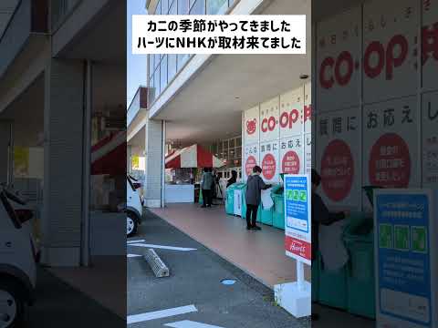 カニの季節だ！ハーツ志比口店の出店にNHKが取材に来てたよ