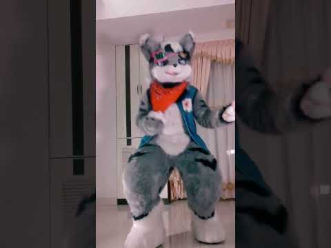 😂 I'm just solo #dancing #cottoneyejoe #dance #fursuitcommunity #furrycommunity #furrypride