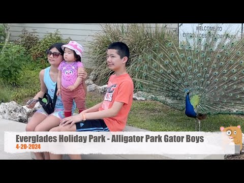 Everglades Holiday Park - Alligator Park Gator Boys