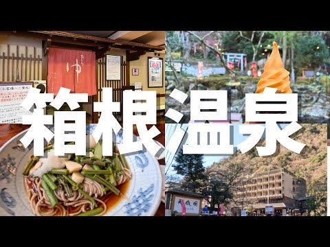 【vlog】箱根で日帰り温泉、天成園を堪能する / 小田急ロマンスカー