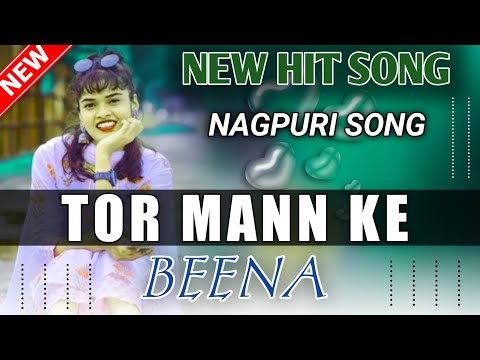 NEW NAGPURI SONG 2023 2024//TOR MANN KE BEENA // NEW NAGPURI HIT NAGPURI //MP3 SONG