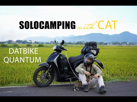 Solo Camping with CAT / Solo Ride / ASMR