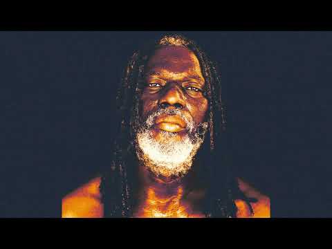 Tiken Jah Fakoly - Don't Worry (feat. Amadou & Mariam)