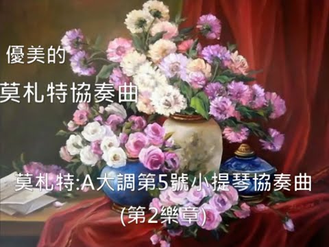 優美的莫札特協奏曲(3)