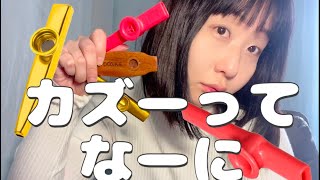 【声で吹ける楽器⁉️】カズーKazoo吹き比べしてみたレビュー（最後演奏付き）