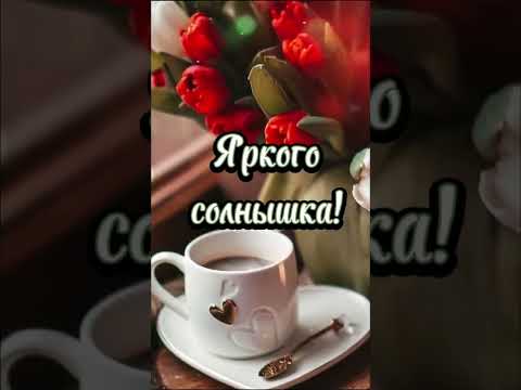 Доброе утро! Хорошего дня и прекрасного настроения!